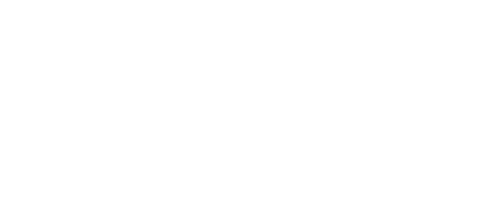 Ansamex